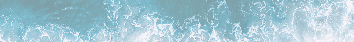 Twin Tides Marketing